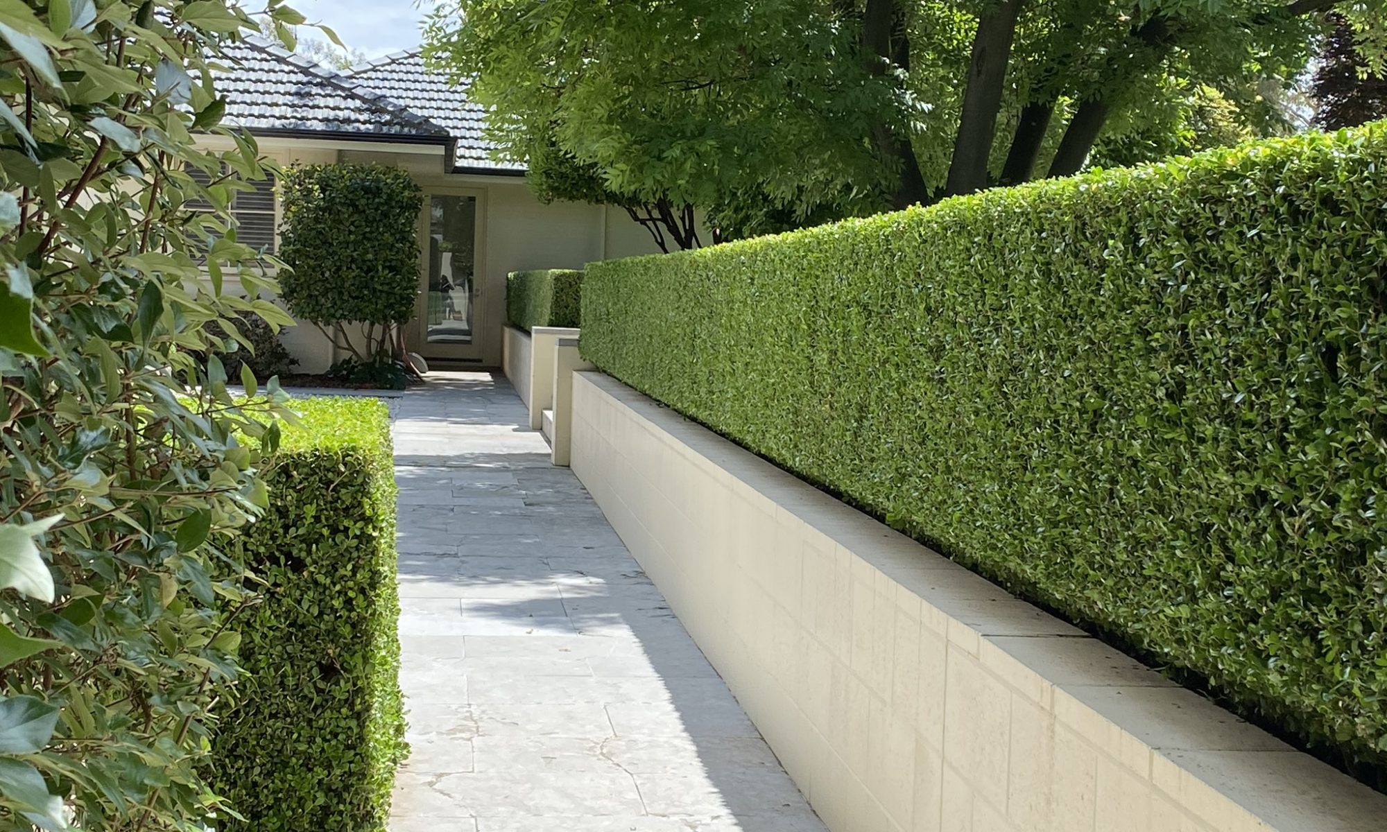 aaa